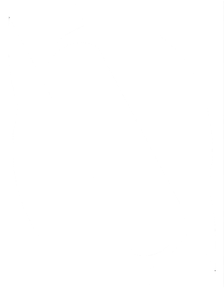Nitorum
